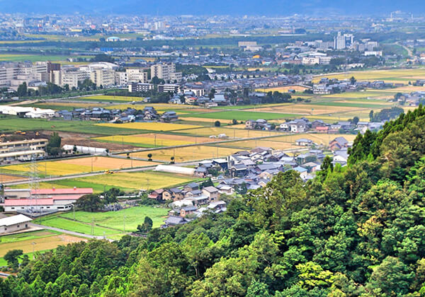 地域密着型の地元企業